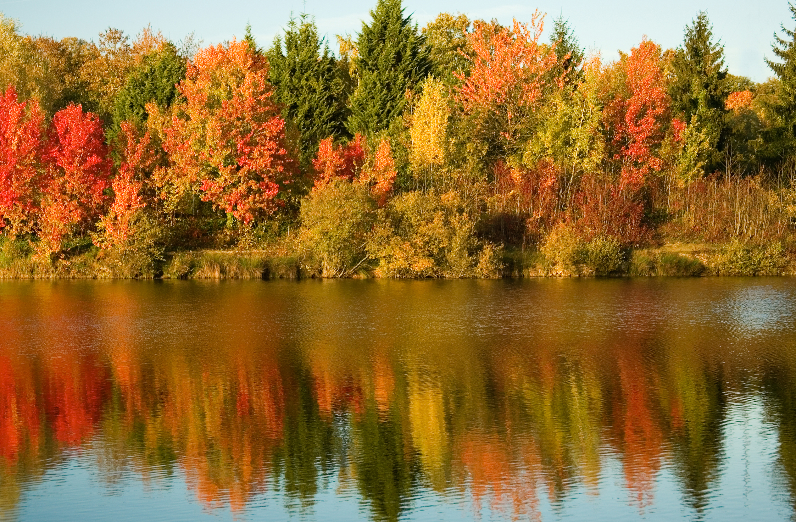 Fall Is the Loudest Season Around Here: A Hearing Protection Guide for Harvest, Hunting, and Friday Nights